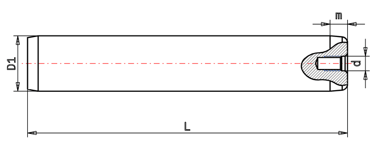 Guide pillar DP10 - DIN 9825 plan